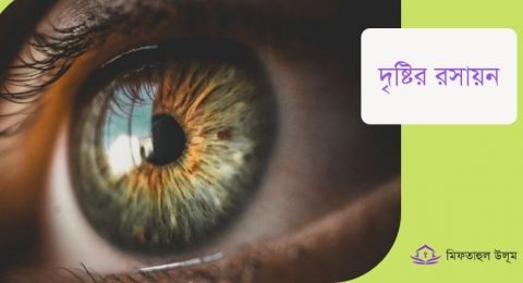 দৃষ্টির রসায়ন-Miftahul Ulum